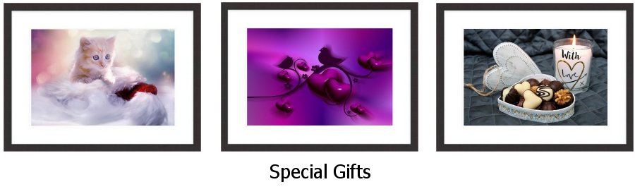 Special Gifts Framed Prints